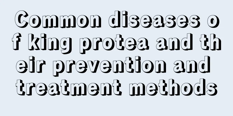 Common diseases of king protea and their prevention and treatment methods