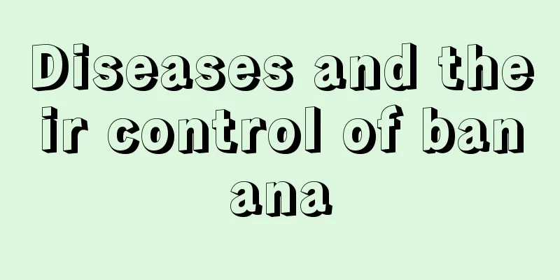 Diseases and their control of banana