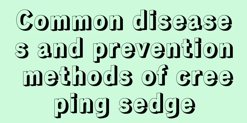 Common diseases and prevention methods of creeping sedge