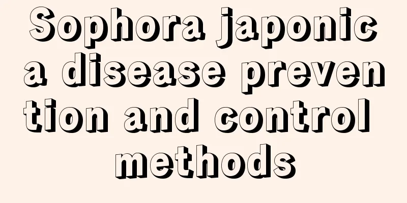 Sophora japonica disease prevention and control methods