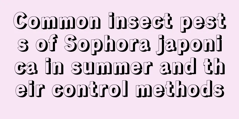 Common insect pests of Sophora japonica in summer and their control methods