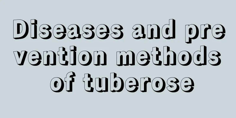 Diseases and prevention methods of tuberose