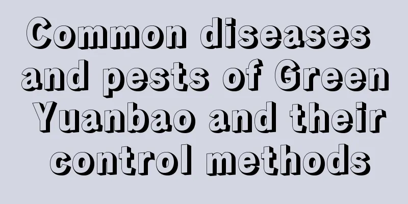 Common diseases and pests of Green Yuanbao and their control methods