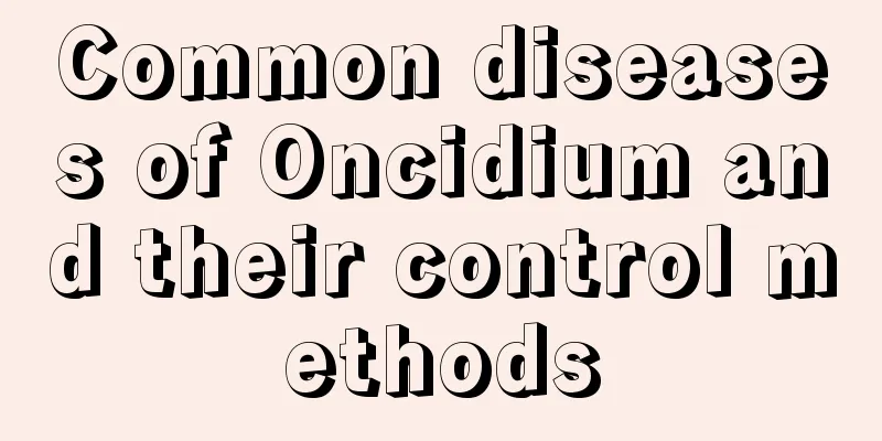 Common diseases of Oncidium and their control methods