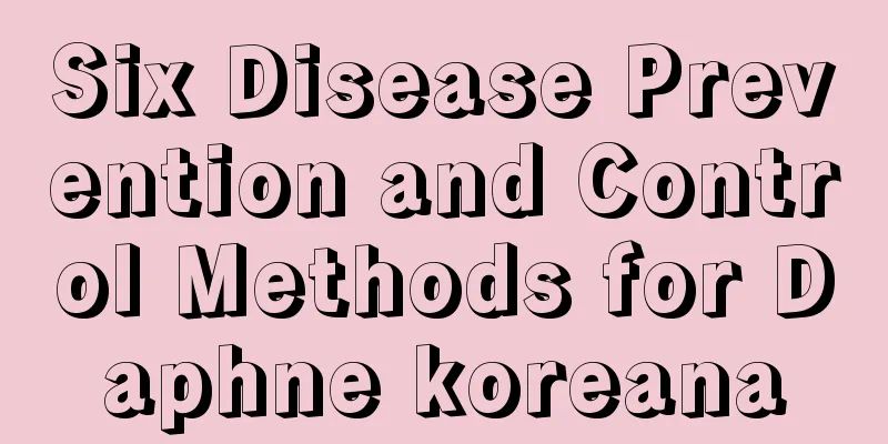 Six Disease Prevention and Control Methods for Daphne koreana