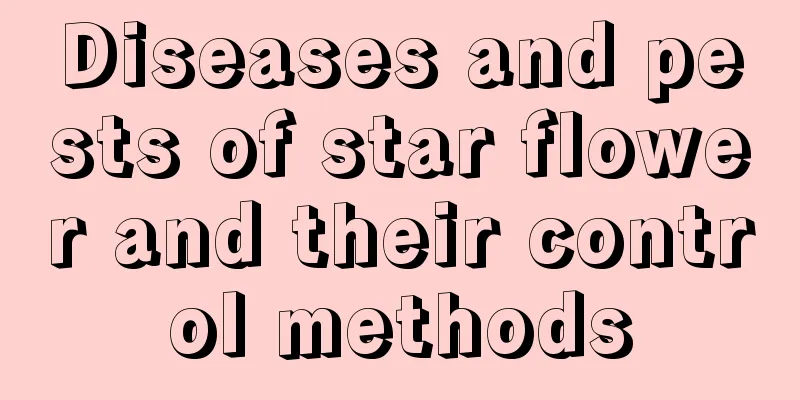 Diseases and pests of star flower and their control methods