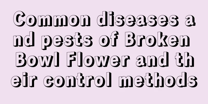 Common diseases and pests of Broken Bowl Flower and their control methods