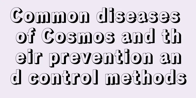 Common diseases of Cosmos and their prevention and control methods