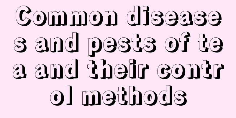 Common diseases and pests of tea and their control methods