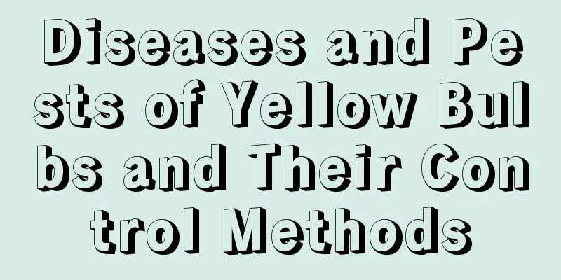 Diseases and Pests of Yellow Bulbs and Their Control Methods