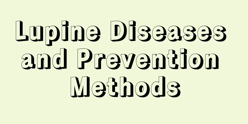 Lupine Diseases and Prevention Methods