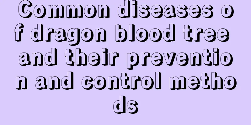 Common diseases of dragon blood tree and their prevention and control methods