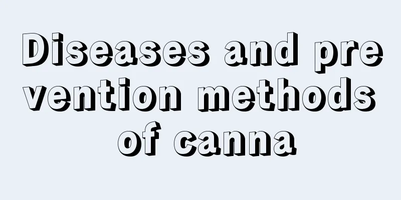 Diseases and prevention methods of canna