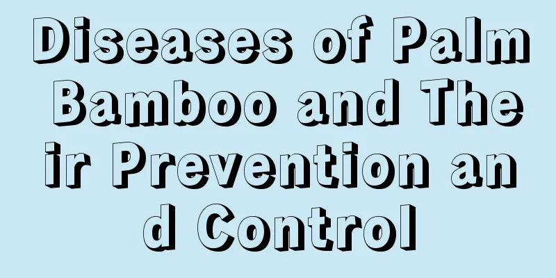 Diseases of Palm Bamboo and Their Prevention and Control