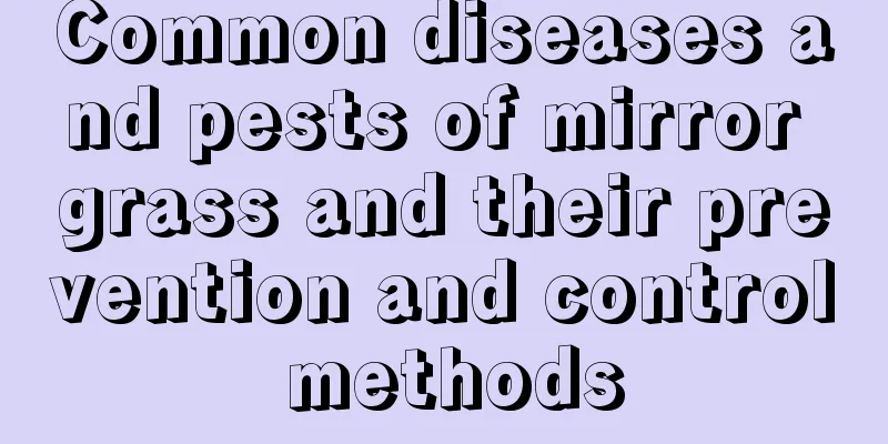 Common diseases and pests of mirror grass and their prevention and control methods