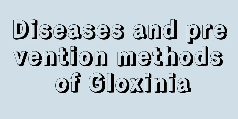 Diseases and prevention methods of Gloxinia