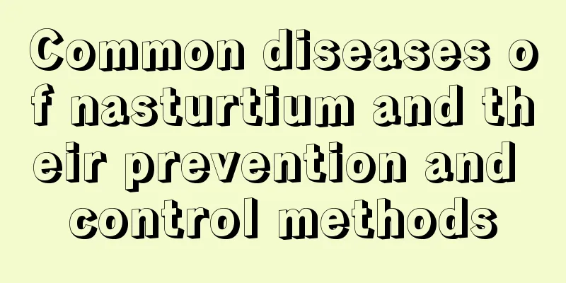 Common diseases of nasturtium and their prevention and control methods