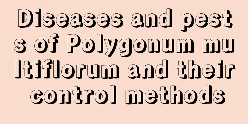 Diseases and pests of Polygonum multiflorum and their control methods