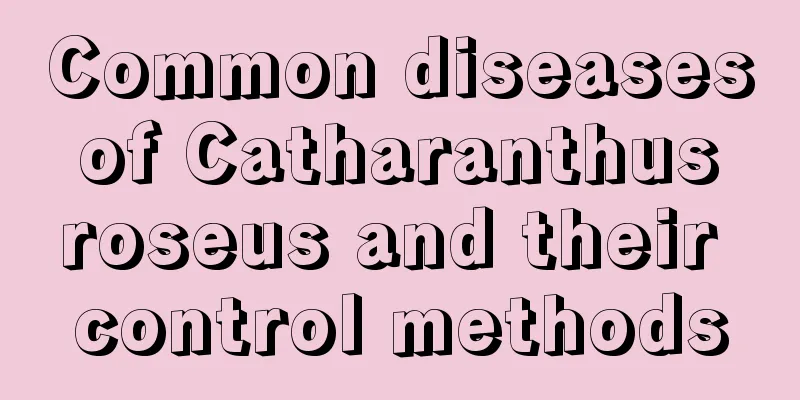 Common diseases of Catharanthus roseus and their control methods