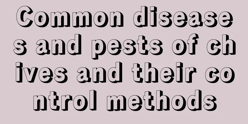 Common diseases and pests of chives and their control methods