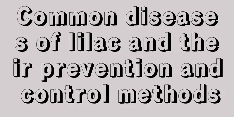 Common diseases of lilac and their prevention and control methods