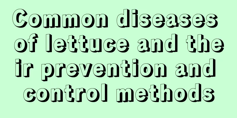 Common diseases of lettuce and their prevention and control methods