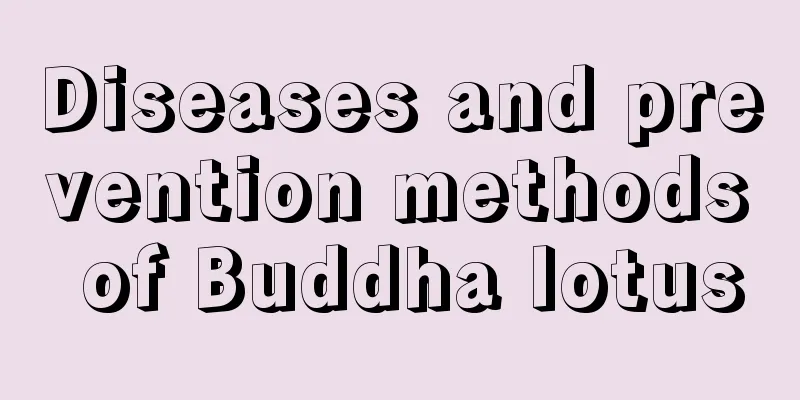 Diseases and prevention methods of Buddha lotus