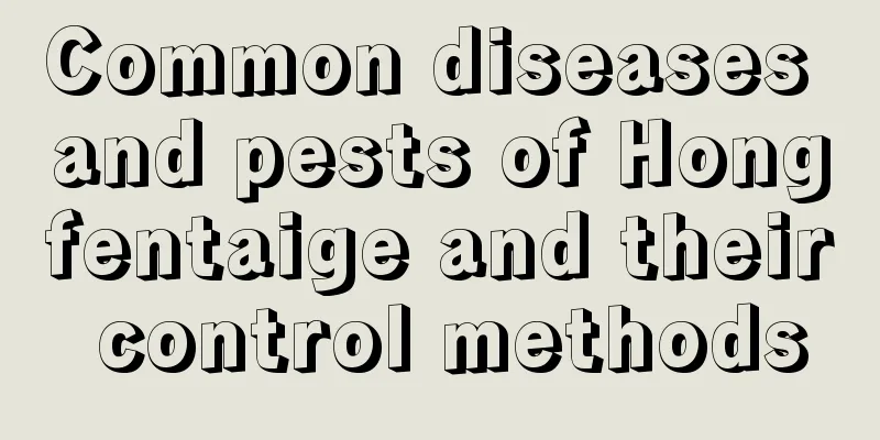 Common diseases and pests of Hongfentaige and their control methods