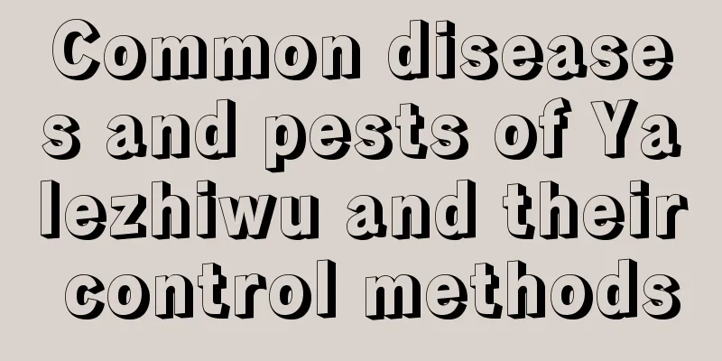 Common diseases and pests of Yalezhiwu and their control methods