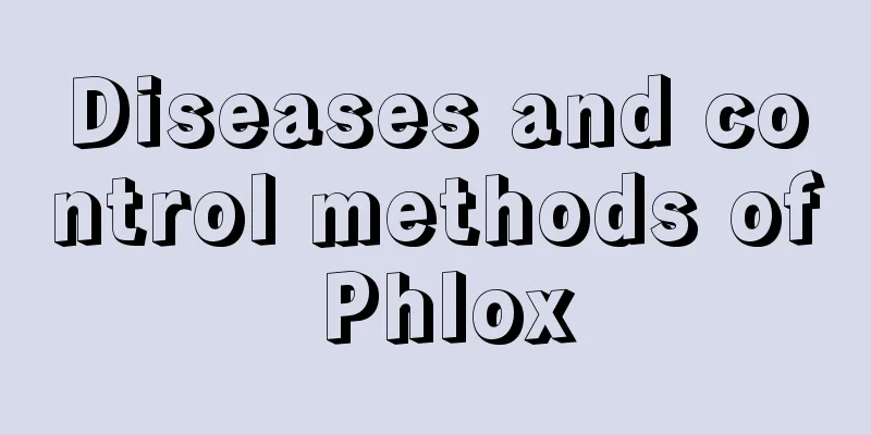 Diseases and control methods of Phlox