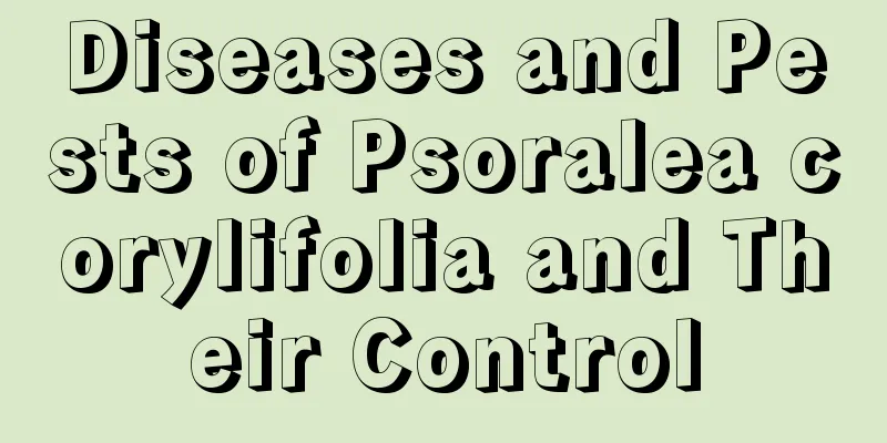 Diseases and Pests of Psoralea corylifolia and Their Control