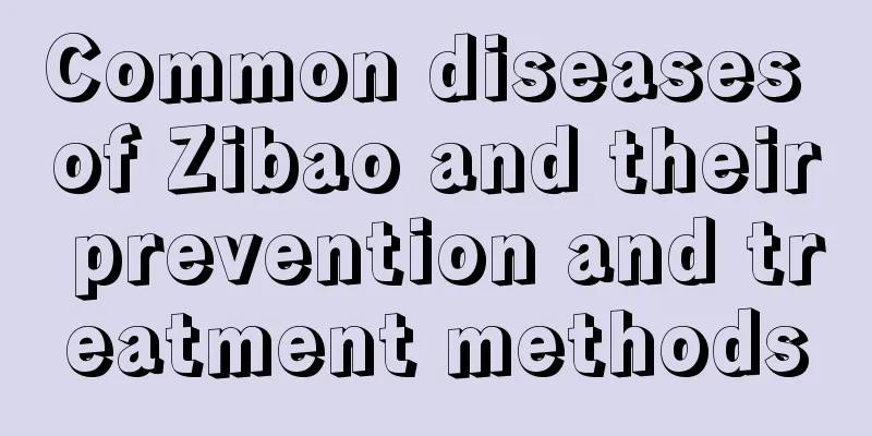 Common diseases of Zibao and their prevention and treatment methods