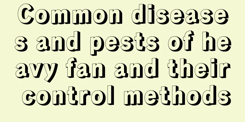 Common diseases and pests of heavy fan and their control methods