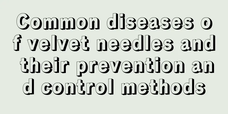 Common diseases of velvet needles and their prevention and control methods