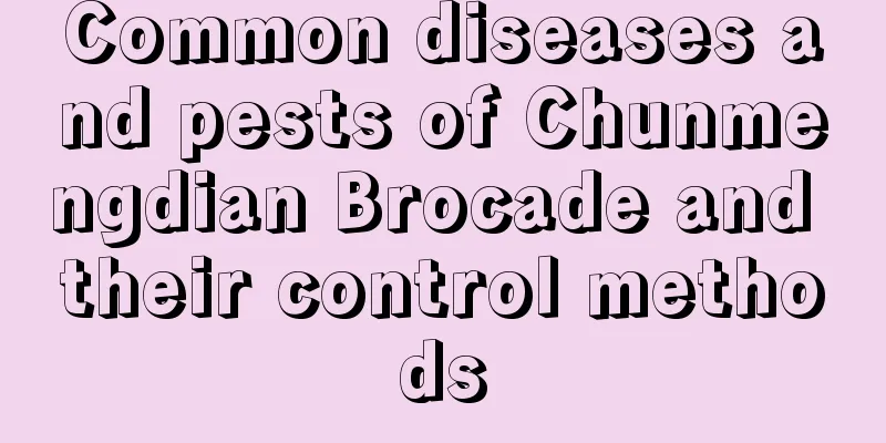 Common diseases and pests of Chunmengdian Brocade and their control methods