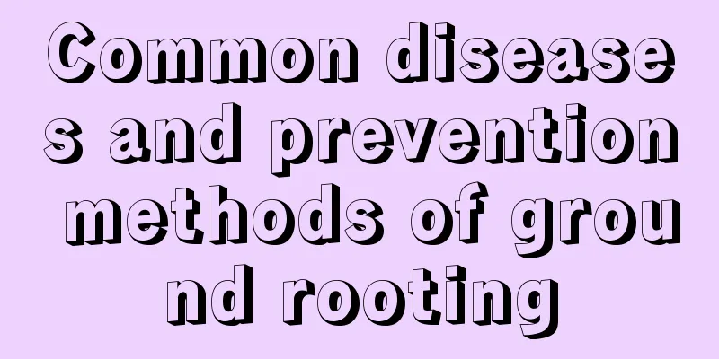 Common diseases and prevention methods of ground rooting