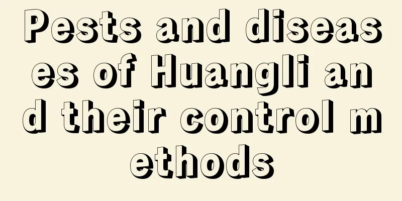 Pests and diseases of Huangli and their control methods