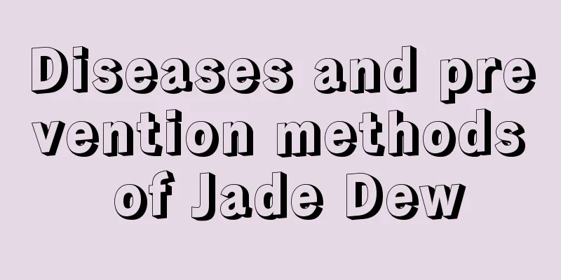 Diseases and prevention methods of Jade Dew