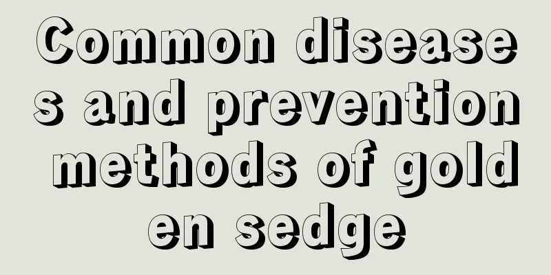 Common diseases and prevention methods of golden sedge