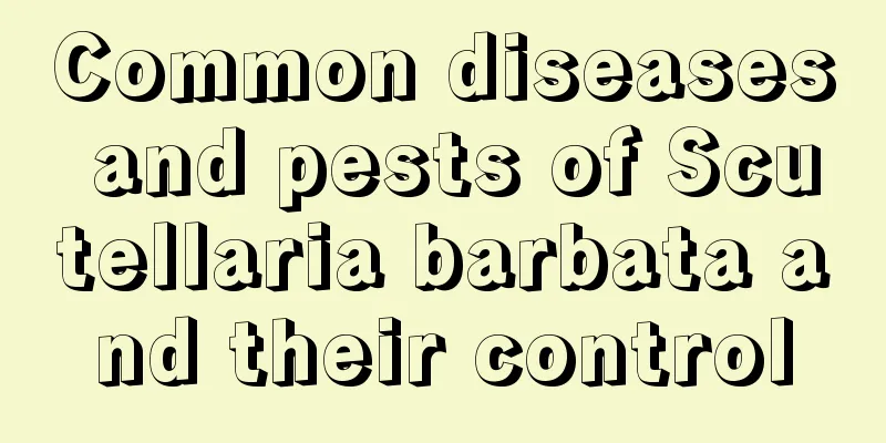 Common diseases and pests of Scutellaria barbata and their control