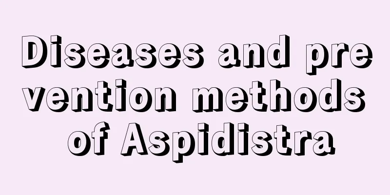 Diseases and prevention methods of Aspidistra