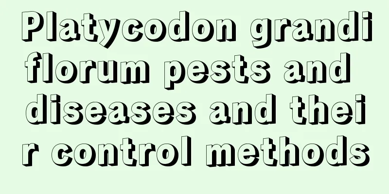 Platycodon grandiflorum pests and diseases and their control methods