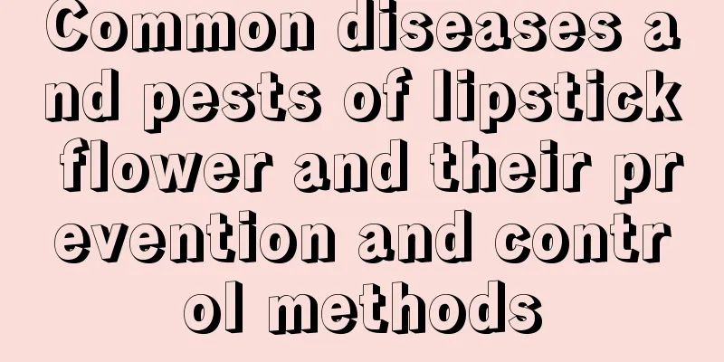 Common diseases and pests of lipstick flower and their prevention and control methods