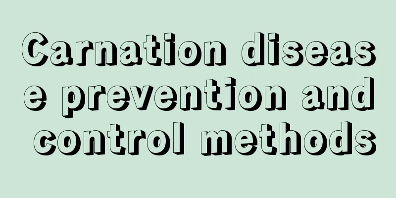 Carnation disease prevention and control methods