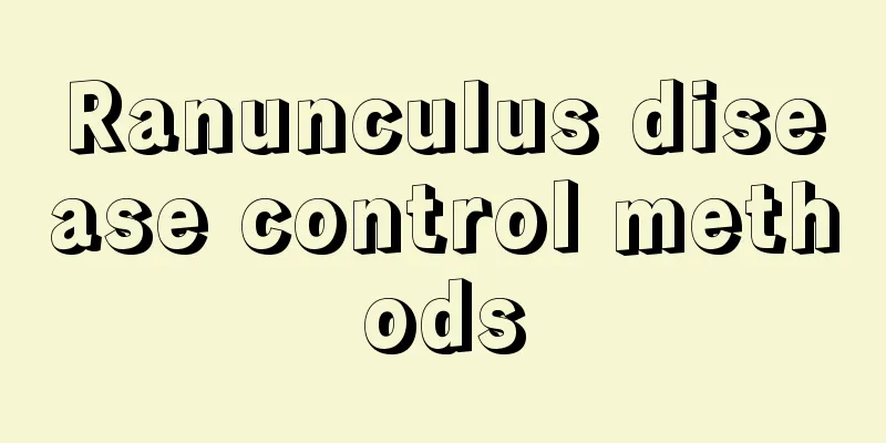 Ranunculus disease control methods