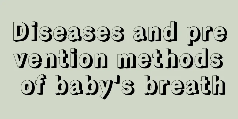 Diseases and prevention methods of baby's breath