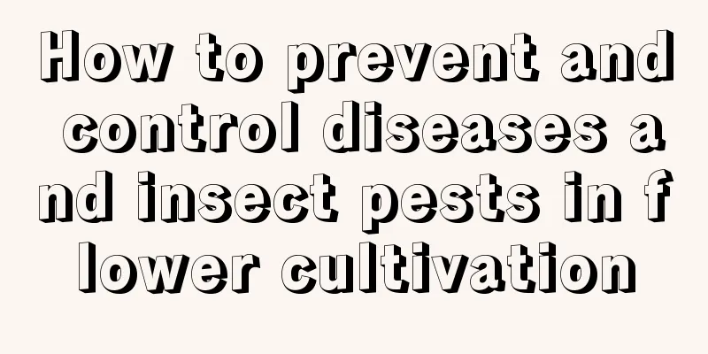 How to prevent and control diseases and insect pests in flower cultivation