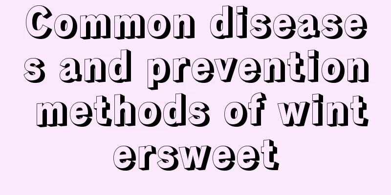 Common diseases and prevention methods of wintersweet