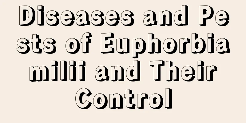 Diseases and Pests of Euphorbia milii and Their Control