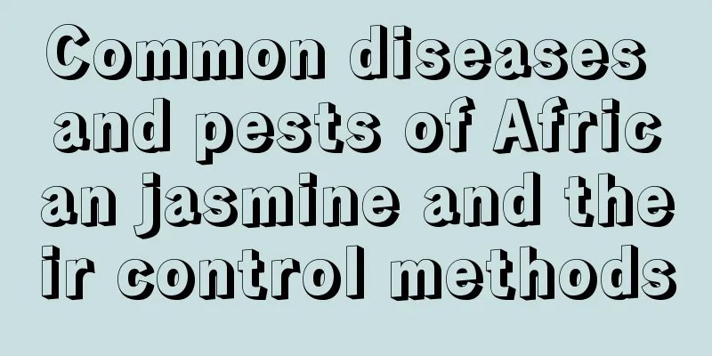 Common diseases and pests of African jasmine and their control methods